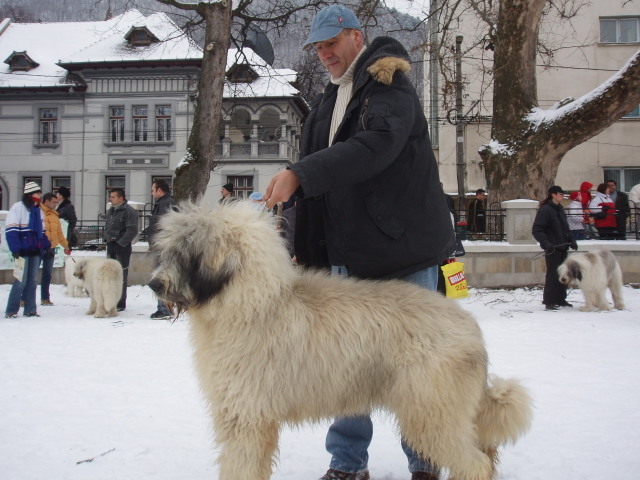 concursbrasov010 - 05_Cerna