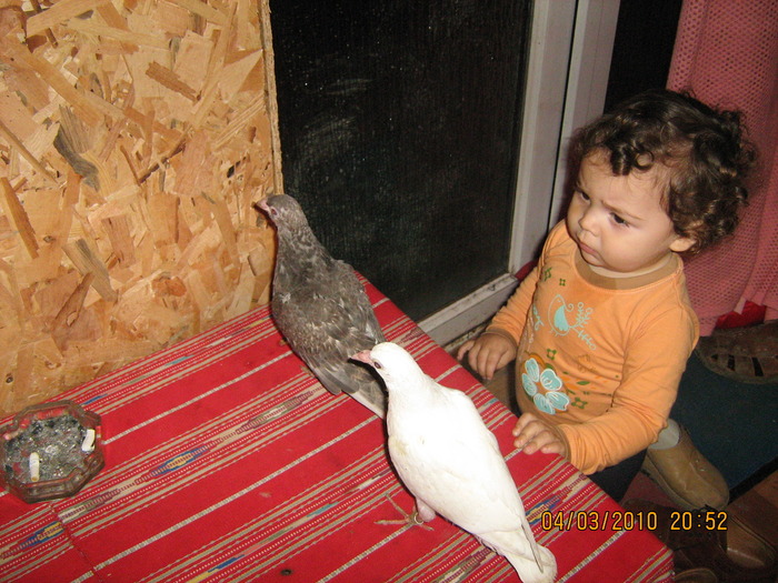 IMG_0010 - puiutul meu