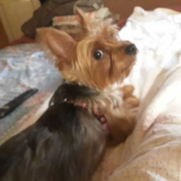 4 iul.2023. În vizită la Sibiu. - Nepoata Nora