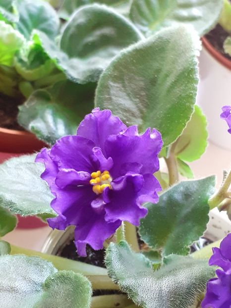 20230705_130906(0) - Ek Sensacija