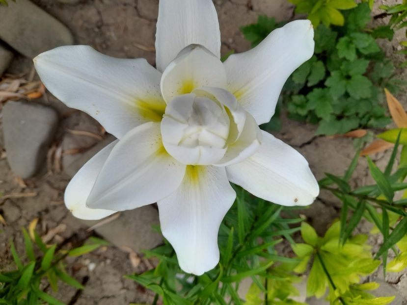  - 1 Bucurii nemuritoare 2023