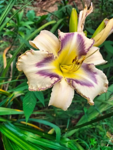 IMG20230707132544 - Iulie 2023