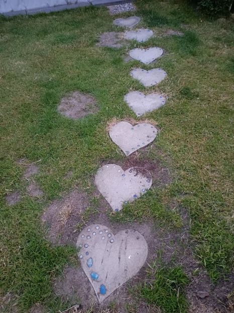 IMG20230606220849 - Hortensia varietăți