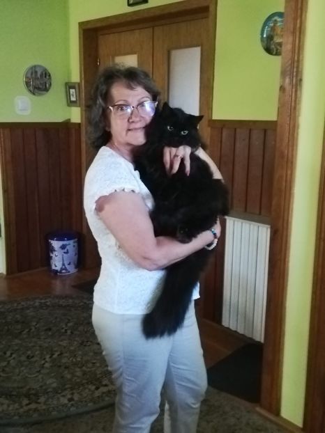 IMG-20230701-WA0009 - 2023 07 iulie București