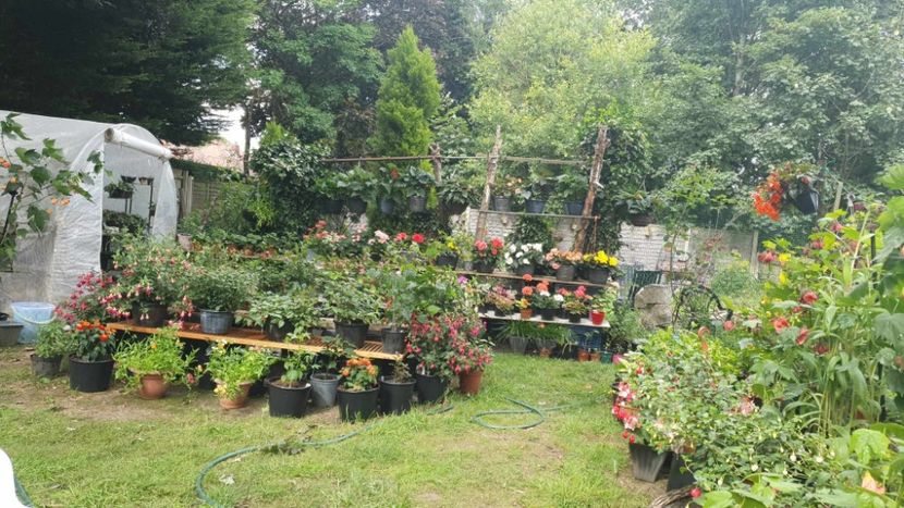 received_593013609647853 - 0 Gradina 2023