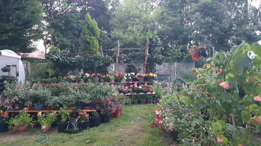 received_255274590582932 - 0 Gradina 2023