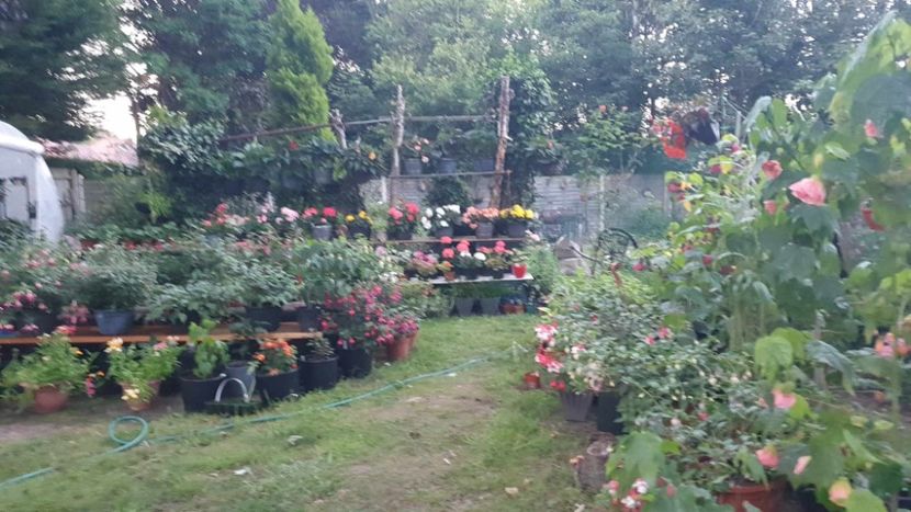 received_751588633430676 - 0 Gradina 2023