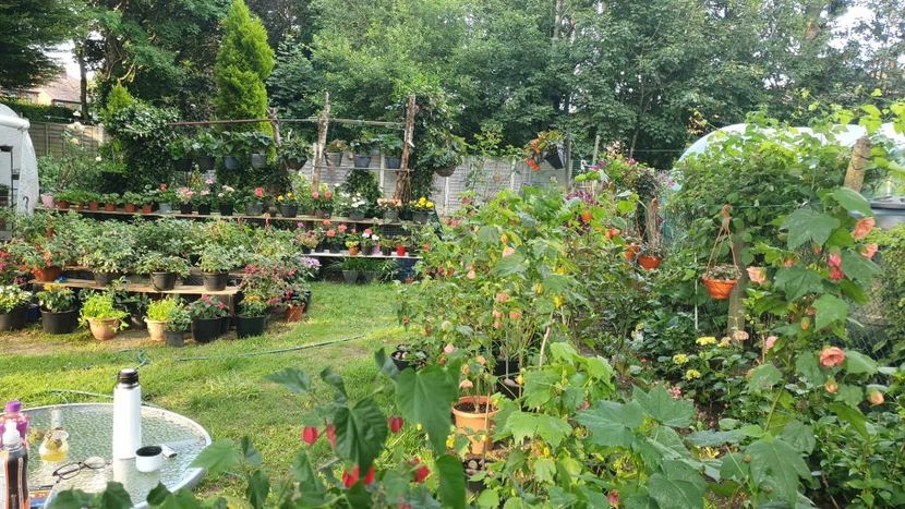 received_707810731355113 - 0 Gradina 2023