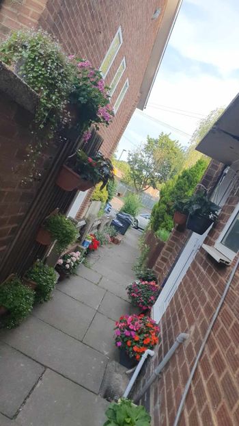 received_1747201809045575 - 0 Balconul-aleea și pervazurile-2022-2023