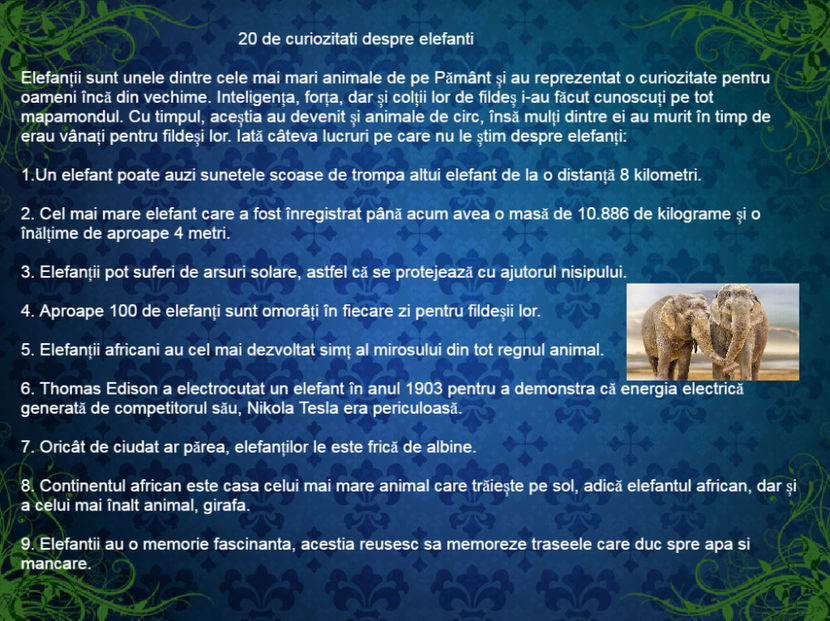 20 de curiozitati despre elefanti - Curiozități