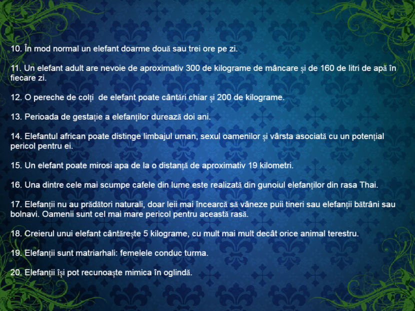 20 de curiozitati despre elefanti - Curiozități