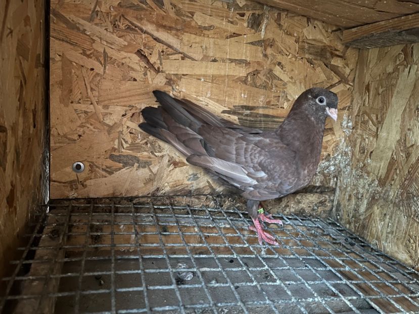 3018/23 - 6-lot zbor 2023