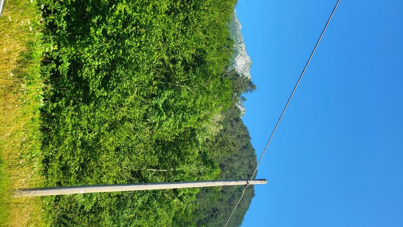  - 2023JUL09BOVICSLOVENIA