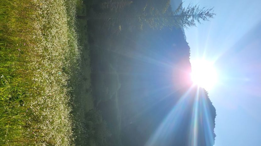  - 2023JUL09BOVICSLOVENIA