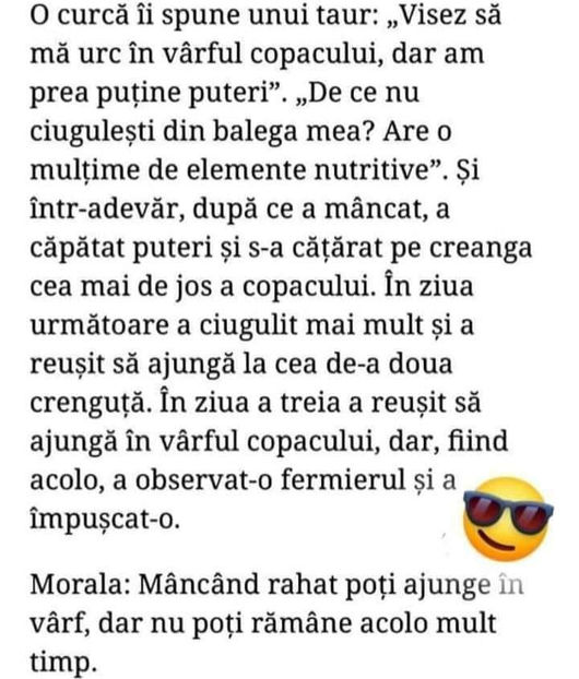  - Diverse 2