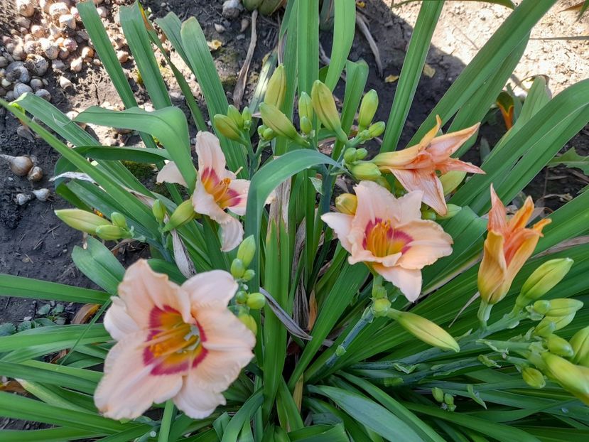  - 1 Bucurii nemuritoare 2023