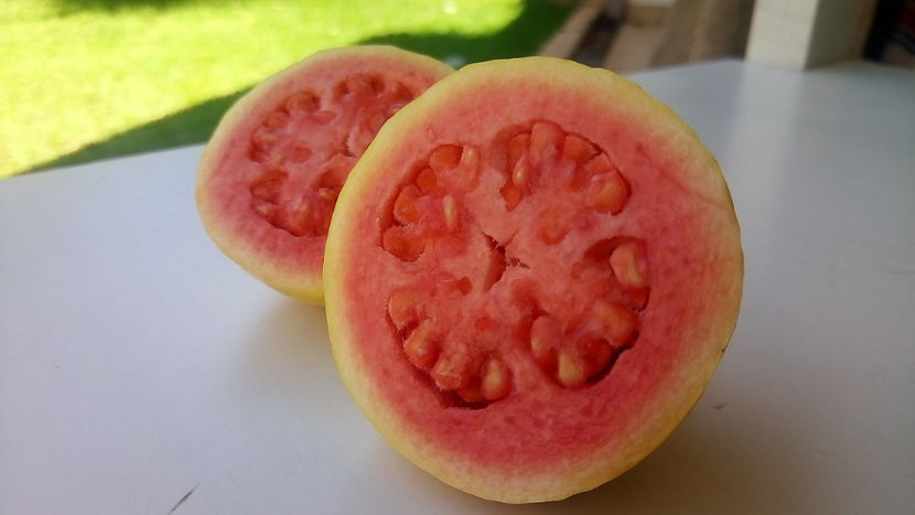 Poză preluată - Guava