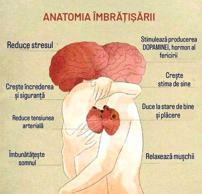  - Sfaturi Utile