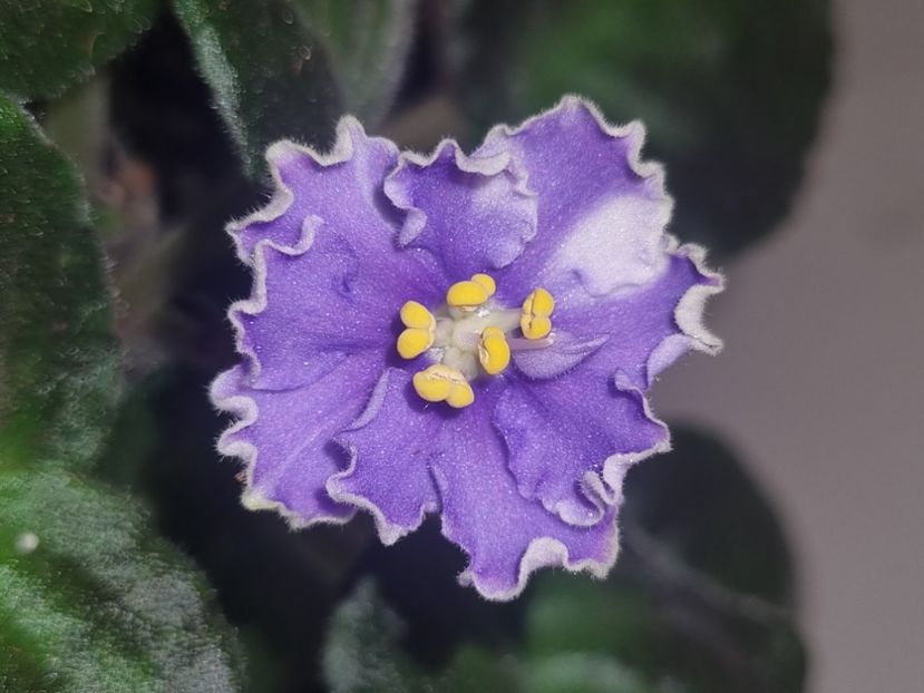 14.07.2023 - Mellow Magic