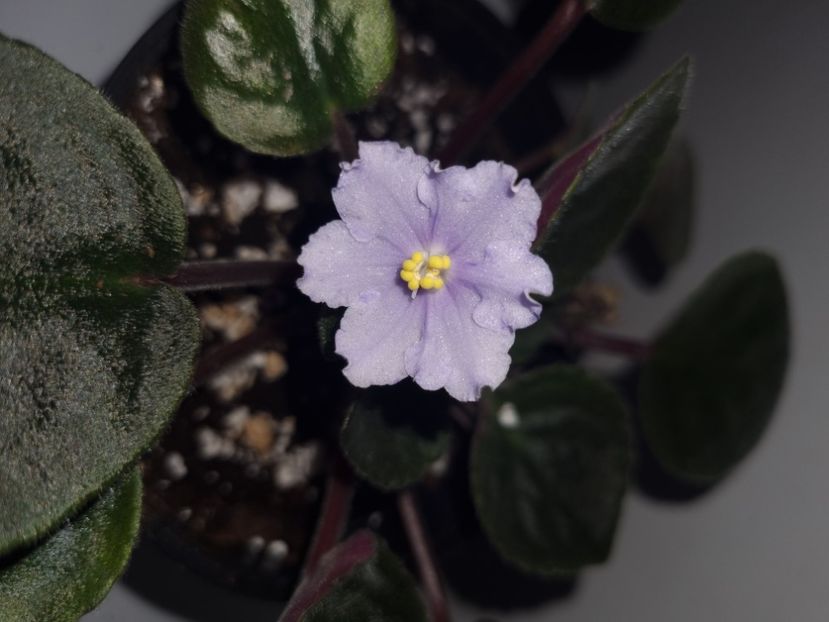 12.07.2023 - Stormy Weather