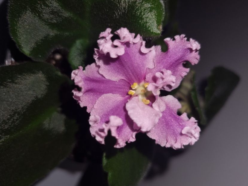 12.07.2023 - LF-Darya