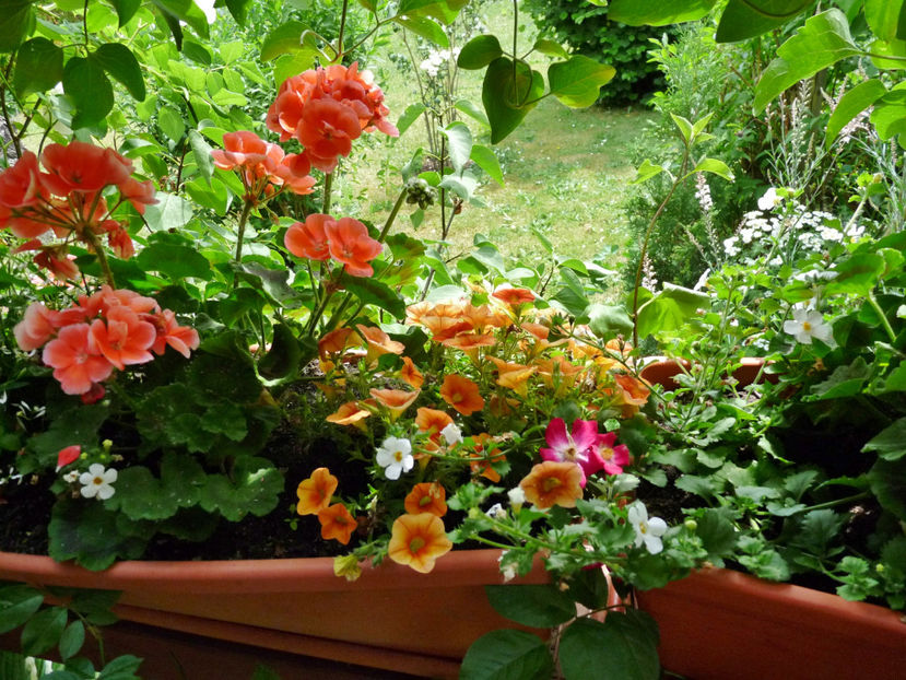 © - 2023 - 02 - Vara