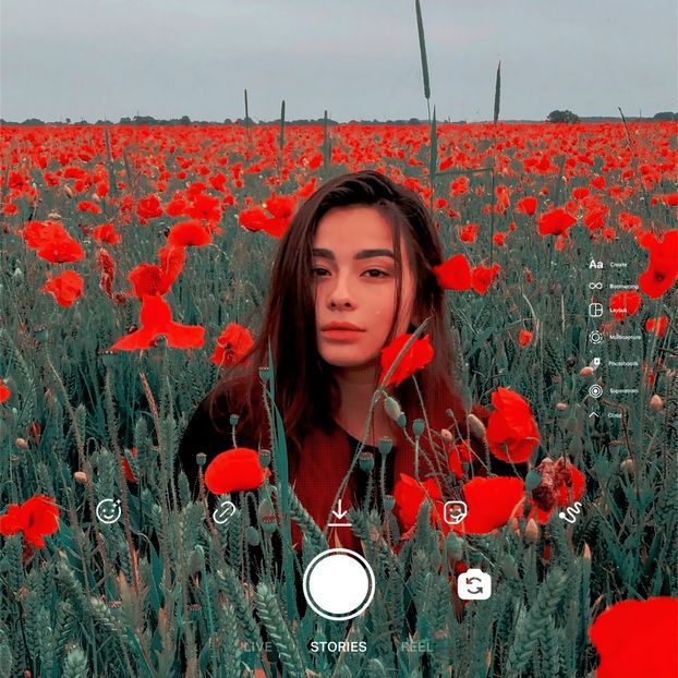 ˓໓ịṃạṇc̣ḥẹ˒　　♡│モブ果│♡　　16.07. - Flower of Malice