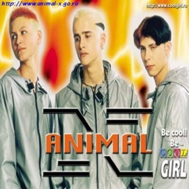  - Animal x