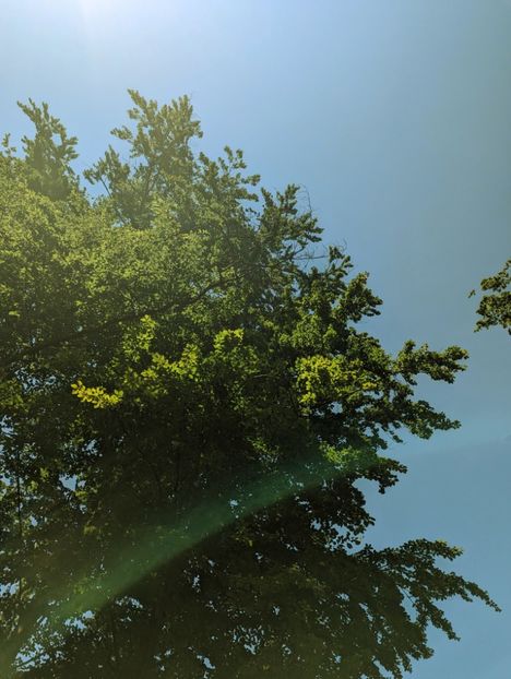  - Universul si Natura