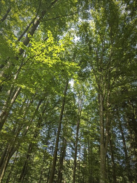  - Universul si Natura