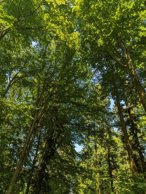  - Universul si Natura