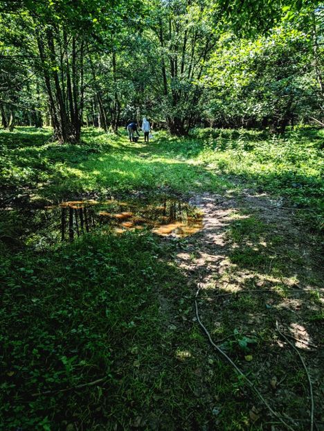  - Universul si Natura