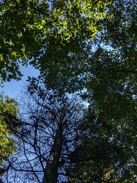  - Universul si Natura