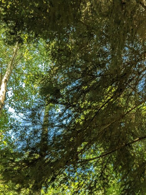  - Universul si Natura