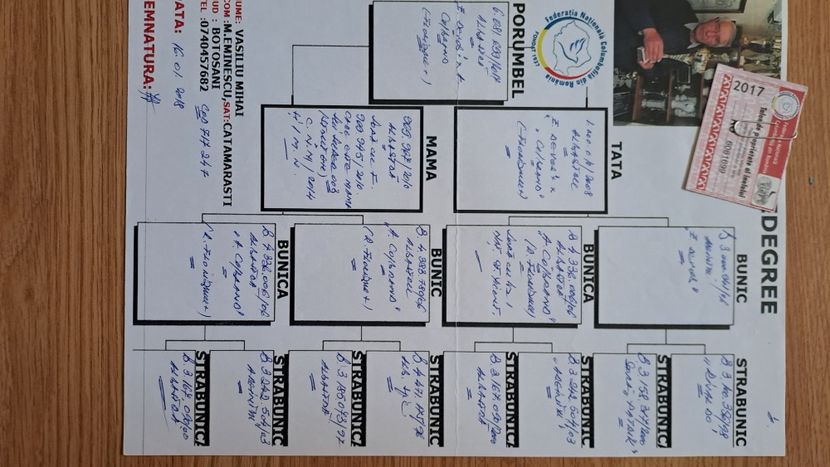  - Porumbei Roger Florizone Vasiliu Mihai