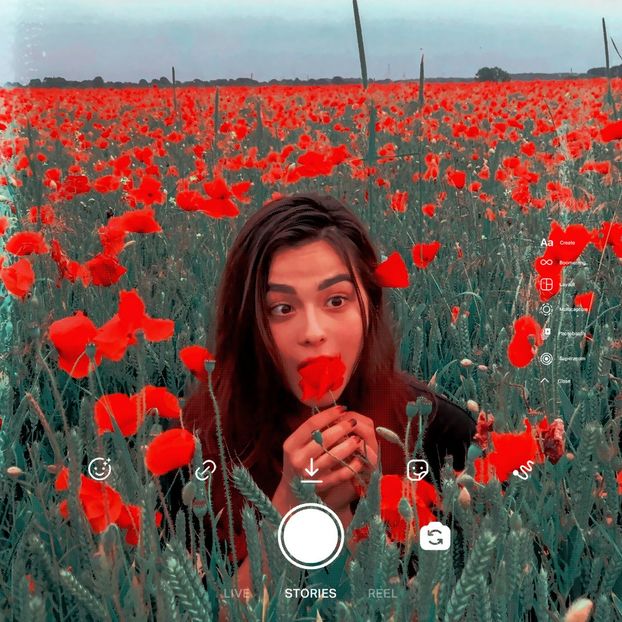 ˓ℒụṇḍị˒　　♡│モブ果│♡　　17.07. - Flower of Malice