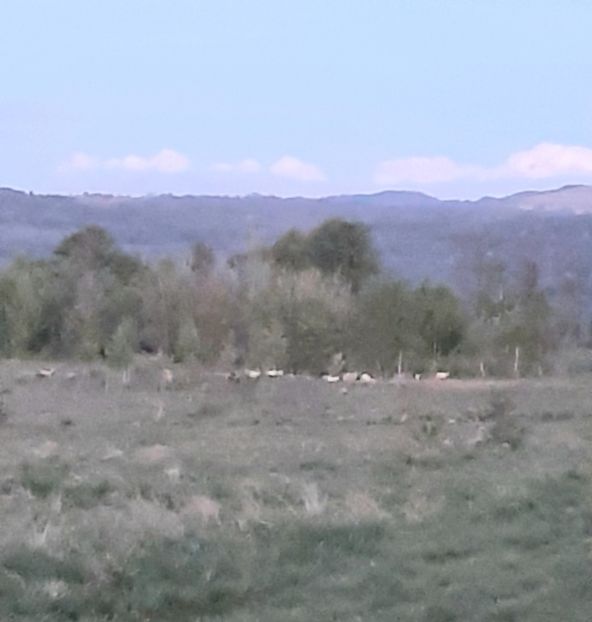  - Concediu 2023 Maramures