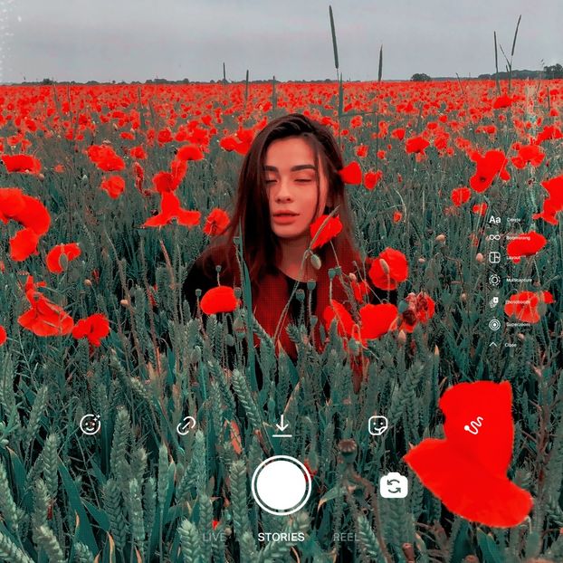 ˓ℳạṛḍị˒　　♡│モブ果│♡　　18.07. - Flower of Malice