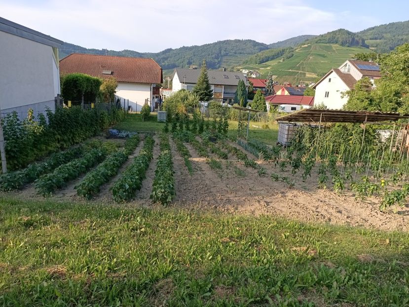 Img.2023.07.11 - Zu-Cele mai frumoase grădini