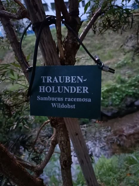 Img.2023.07.14 - Zu-Cele mai frumoase grădini