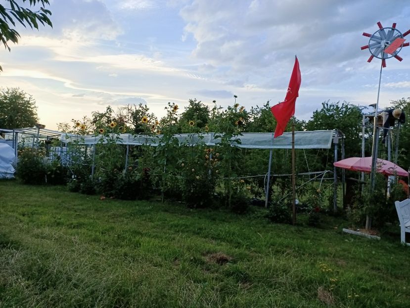 Img.2023.07.19 - Zu-Cele mai frumoase grădini