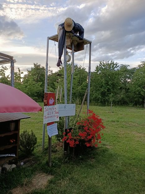 Img.2023.07.19 - Zu-Cele mai frumoase grădini