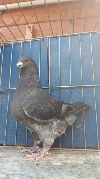 M 2023 - Tineret 2023