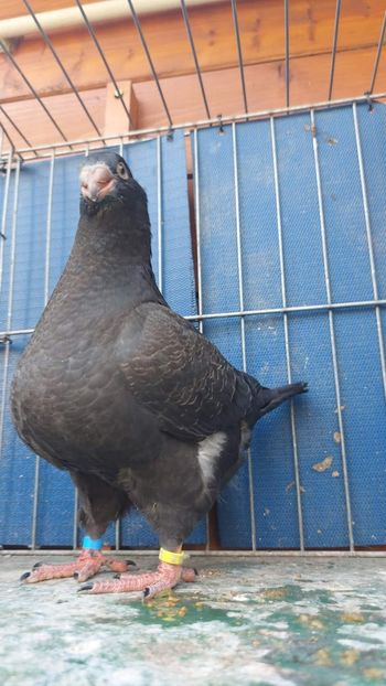 M 2023 - Tineret 2023