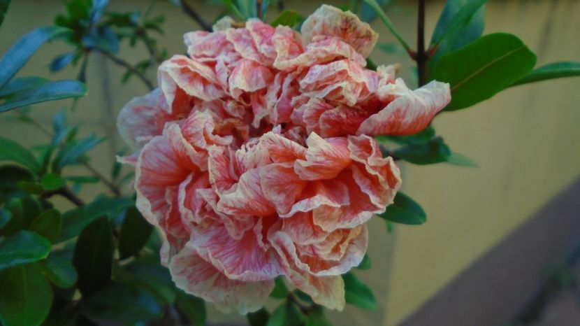  - r Vara 2020-2021-2022-2023