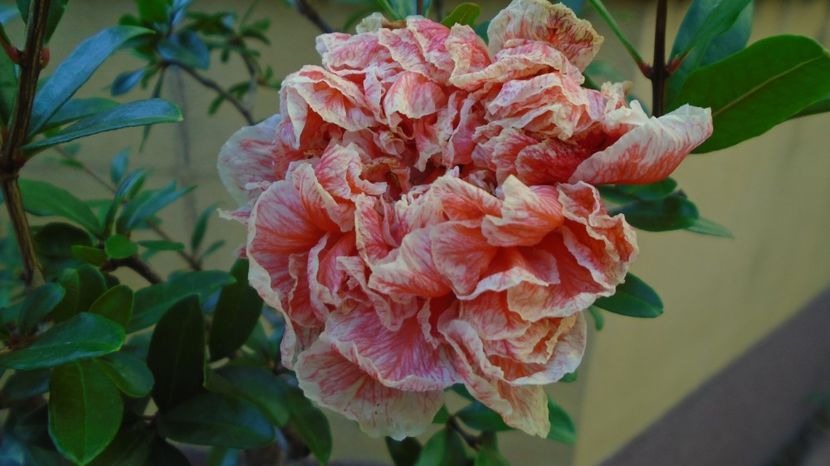  - r Vara 2020-2021-2022-2023