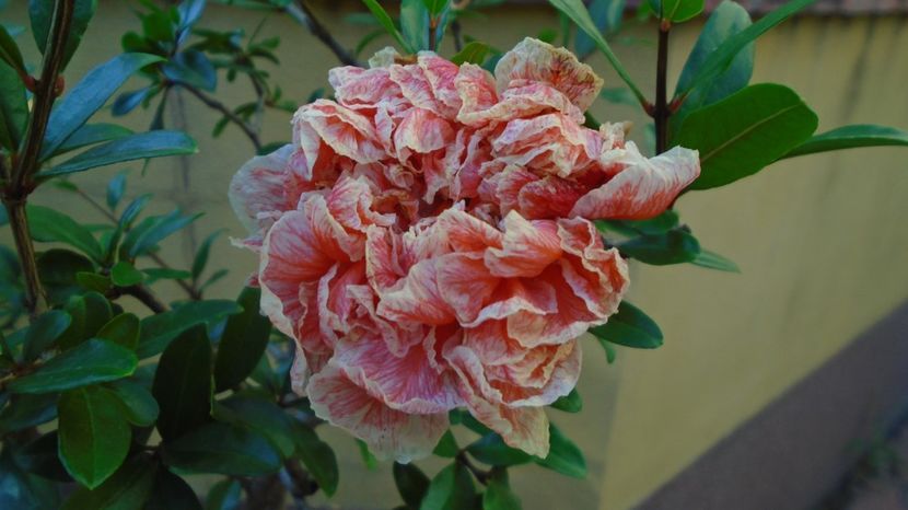  - r Vara 2020-2021-2022-2023