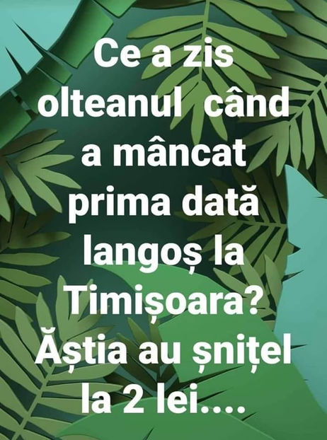  - Bancuri cu Olteni