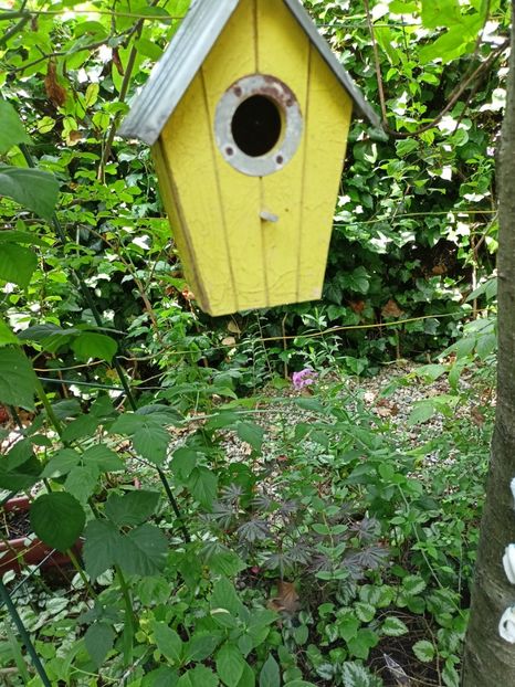 Trompenburg - Arțari