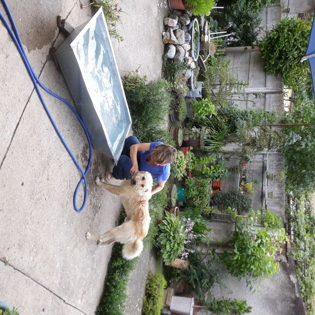 23 iul 2023 E udă apa... - Codiță-Cody -Coco